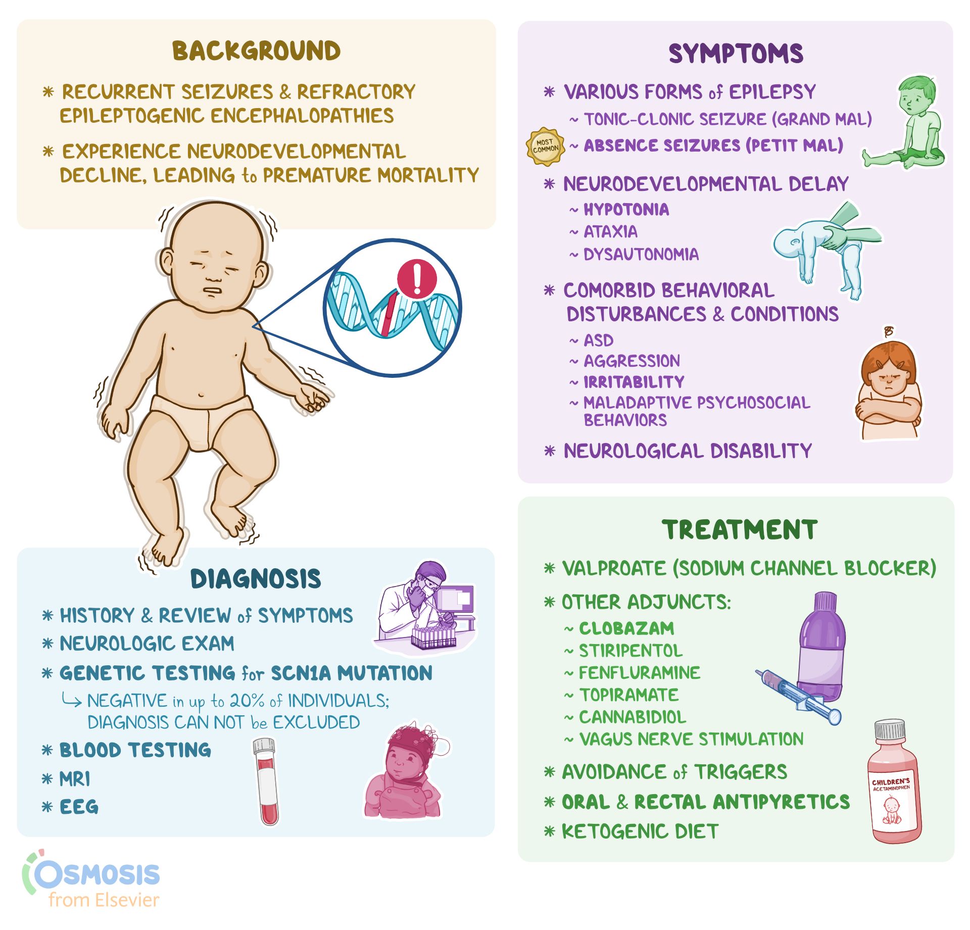 Dravet Syndrome What It Is, Causes, Treatment Osmosis
