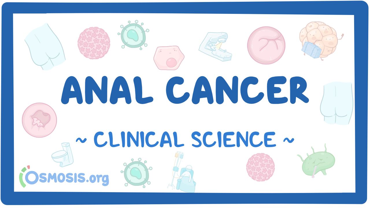 Bizning pornomiz sahnalashtirilmagan.