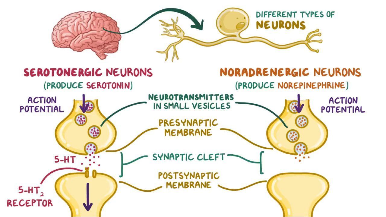 Tricyclic Antidepressants Osmosis