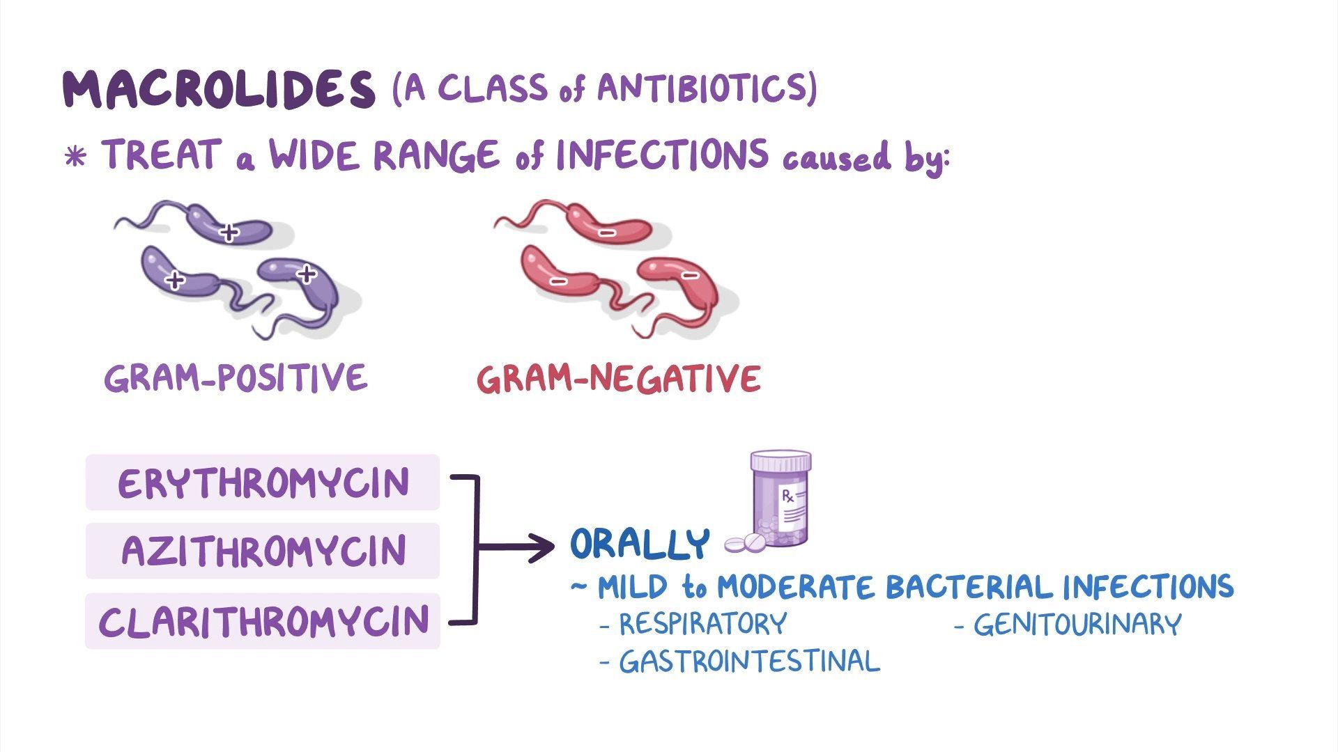Video Antibiotics Macrolides