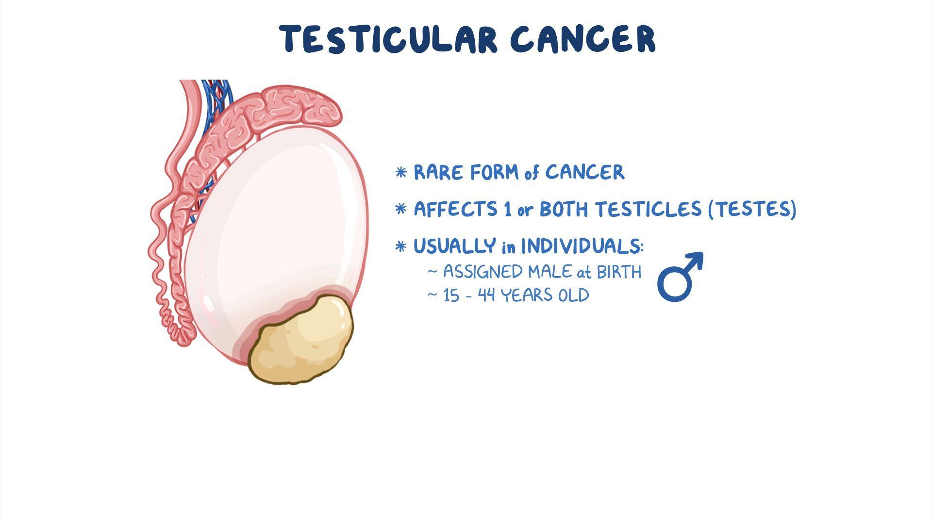 Video Testicular Cancer Nursing