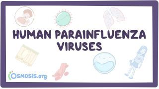 Video poster for Human parainfluenza viruses