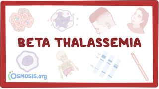 Video poster for Beta-thalassemia