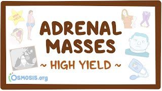 Video poster for High Yield: Adrenal masses