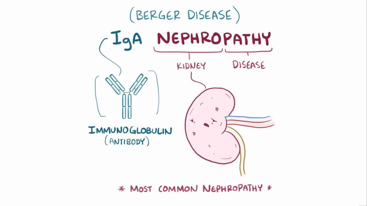 Video: IgA nephropathy (NORD) | Osmosis