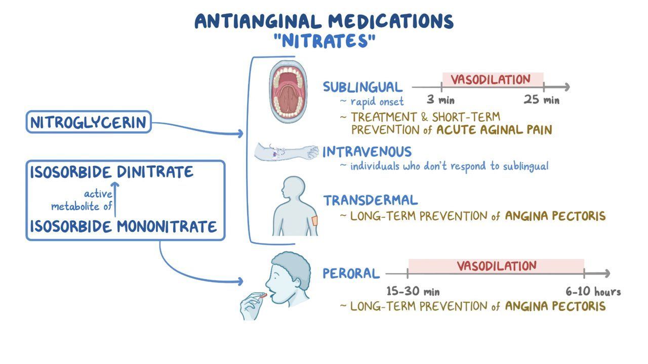 cGMP mediated smooth muscle vasodilators Osmosis