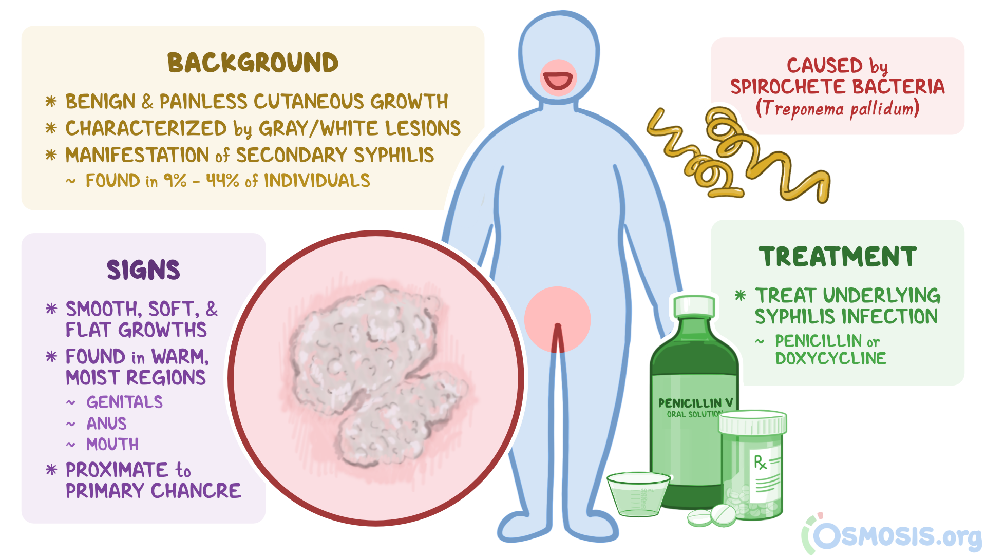 human papillomavirus hpv osmosis