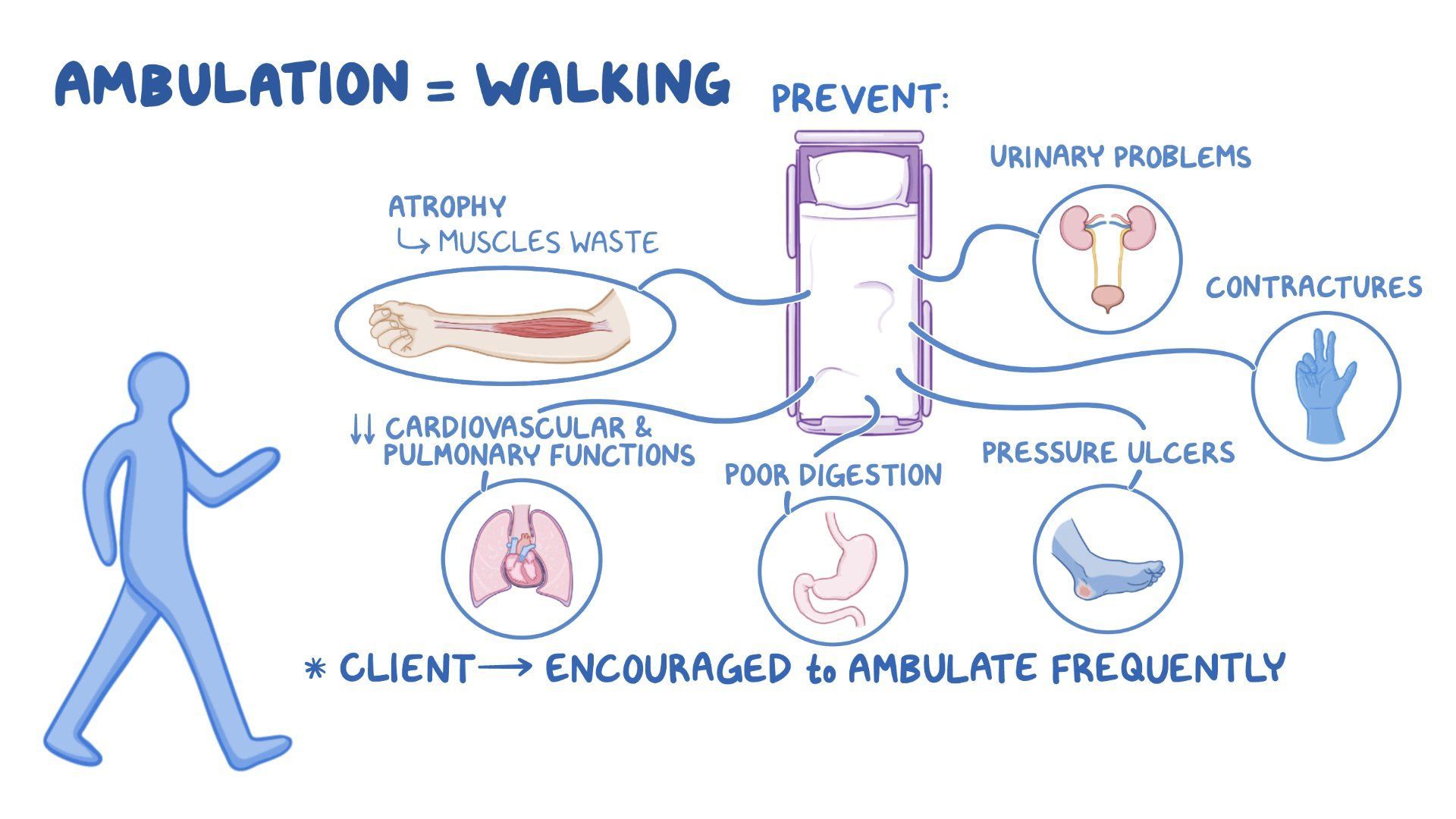 Video: Assisting with ambulation | Osmosis