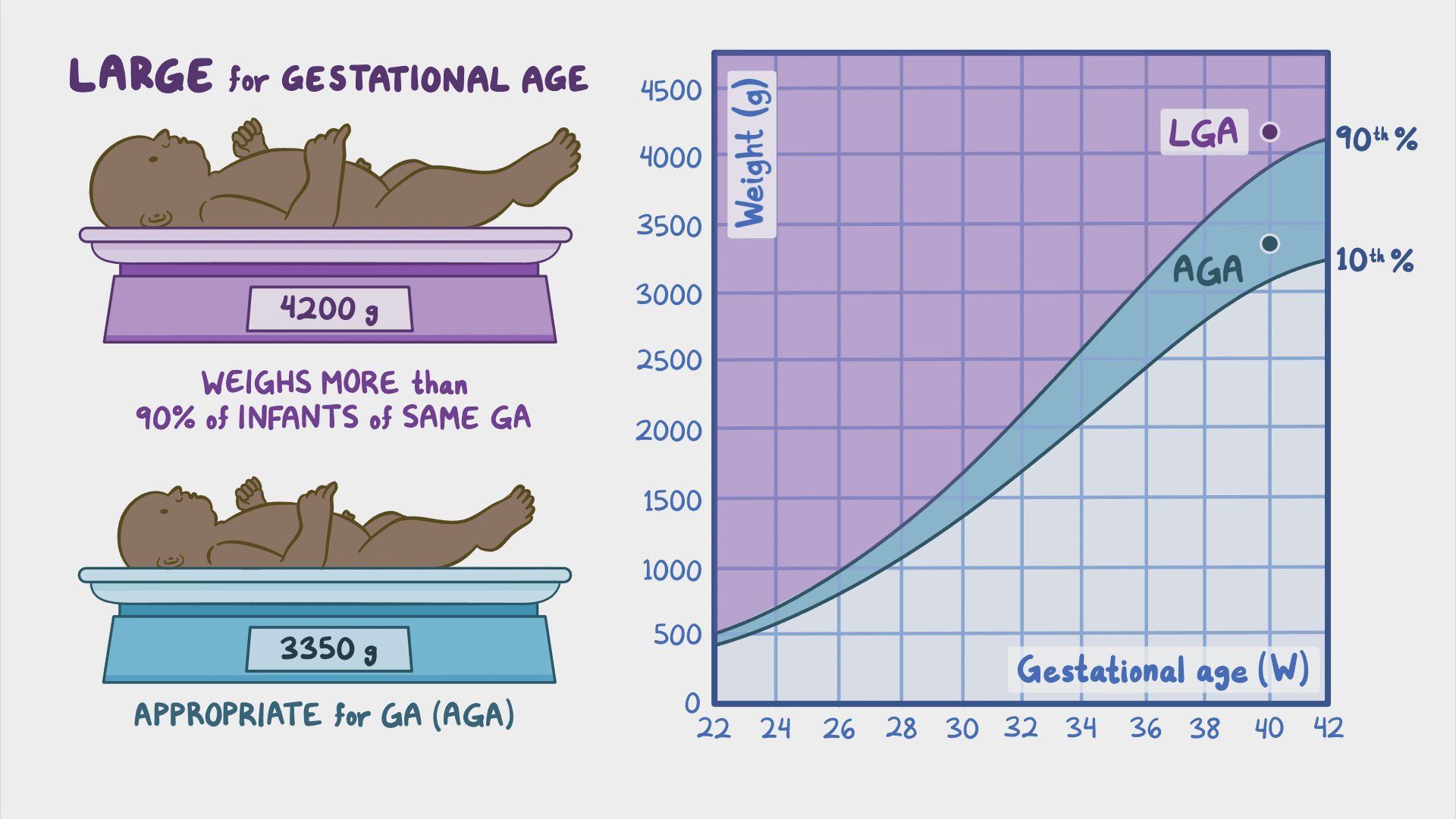 Video Large For Gestational Age LGA Infant Nursing Osmosis