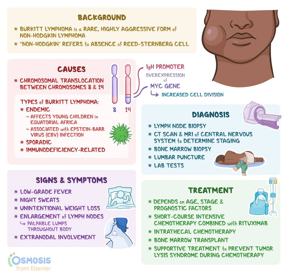 Burkitt Lymphoma: What Is It, Causes, Diagnosis | Osmosis
