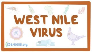 Video poster for West Nile virus