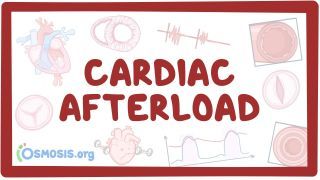Video poster for Cardiac afterload