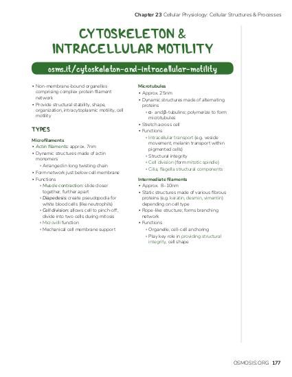 Chapter 23 Cellular Physiology: Cellular Structures & Processes CYTOSKELETON & INTRACELLULAR MOTILITY osms.it/cytoskeleton-and-intracellular-motility ▪ Non-membrane-bound organelles comprising complex protein filament network ▪ Provide structural stability, shape, organization, intracytoplasmic motility, cell motility TYPES Microfilaments ▪ Actin filaments: approx. 7nm ▪ Dynamic structures made of actin monomers ▫ Arranged in long twisting chain ▪ Form network just below cell membrane ▪ Functions ▫ Muscle contraction: slide closer together, further apart ▫ Diapedesis: create pseudopodia for white blood cells (like neutrophils) ▫ Cell division: allows cell to pinch-off, divide into two cells during mitosis ▫ Microvilli function ▫ Mechanical cell membrane support Microtubules ▪ Approx. 25nm ▪ Dynamic structures made of alternating proteins ▫ α- and β-tubulins; polymerize to form microtubules ▪ Stretch across cell ▪ Functions ▫ Intracellular transport (e.g. vesicle movement, melanin transport within pigmented cells) ▫ Structural integrity ▫ Cell division (form mitotic spindle) ▫ Cilia, flagella structural components Intermediate filaments ▪ Approx. 8–10nm ▪ Static structures made of various fibrous proteins (e.g. keratin, desmin, vimentin) depending on cell type ▪ Rope-like structure; forms branching network ▪ Functions ▫ Organelle, cell-cell anchoring ▫ Play key role in providing structural integrity, cell shape OSMOSIS.ORG 177