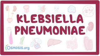 Video poster for Klebsiella pneumoniae