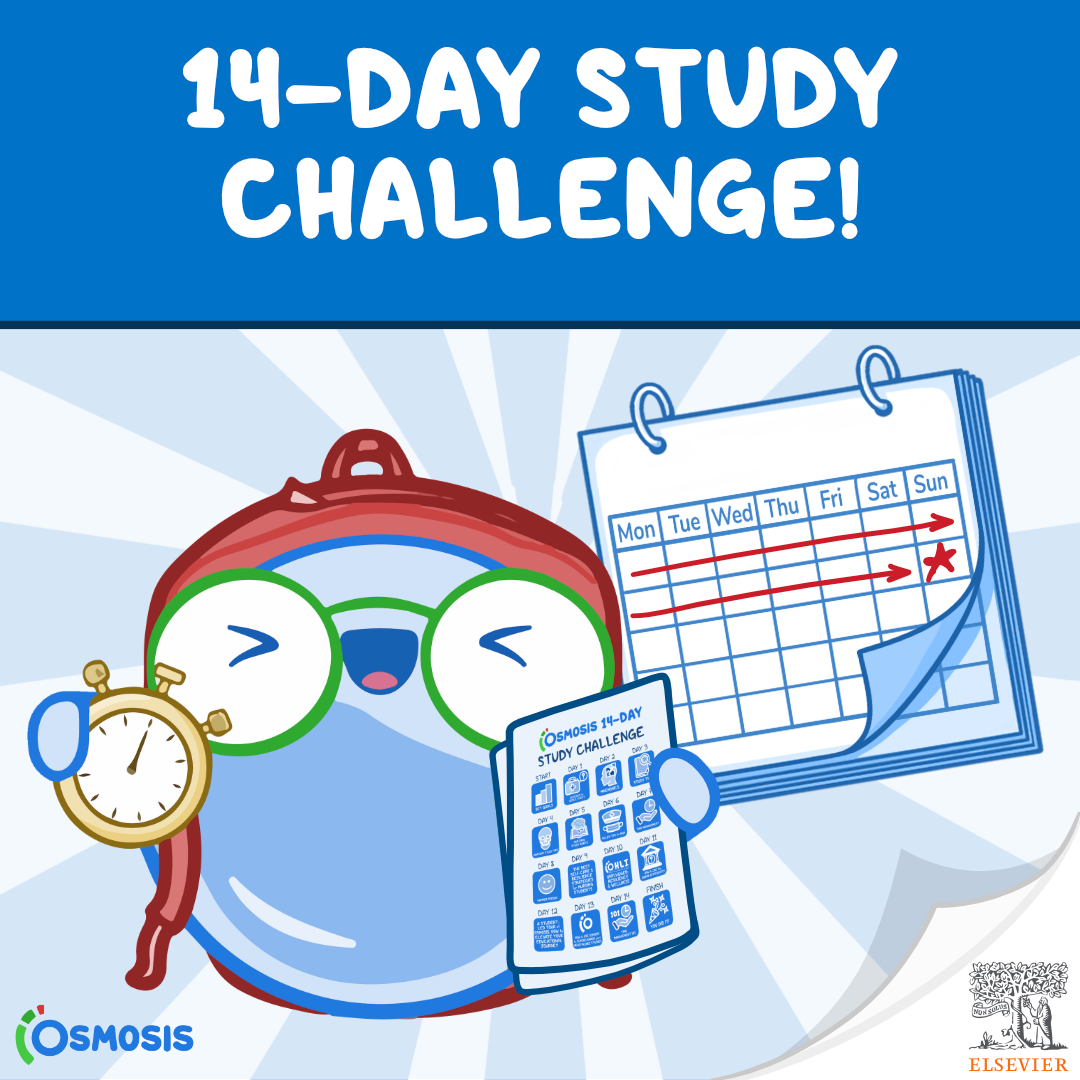 osmosis mascot holding up the 14-day study challenge