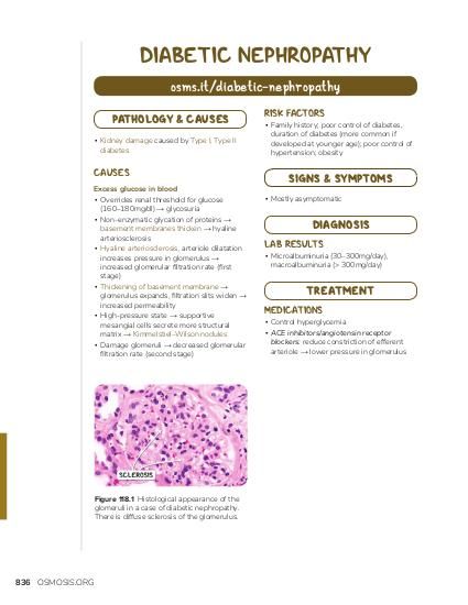 membranoproliferative glomerulonephritis