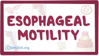 Video poster for Esophageal motility