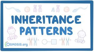 Video poster for Inheritance patterns