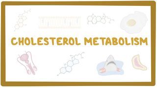 Video poster for Cholesterol metabolism
