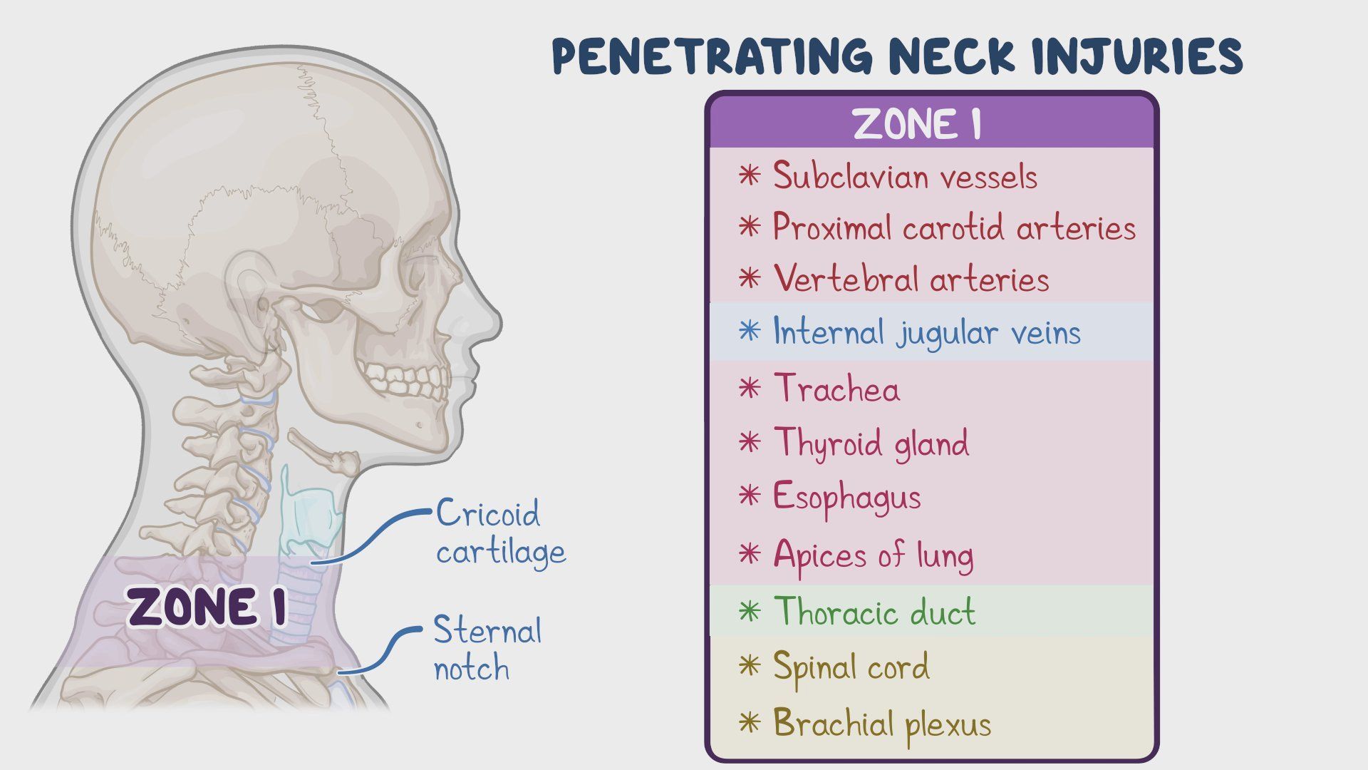 Mattison'S Neck Injury: A Timeline Of Events And Medical Details - 68hjes1