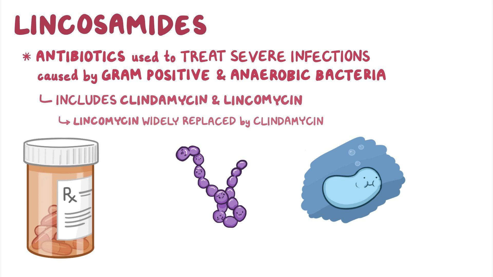 Video antibiotics lincosamides
