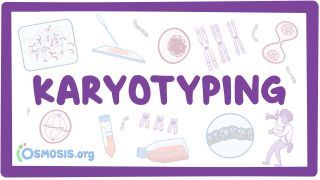 Video poster for Karyotyping