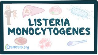 Video poster for Listeria monocytogenes
