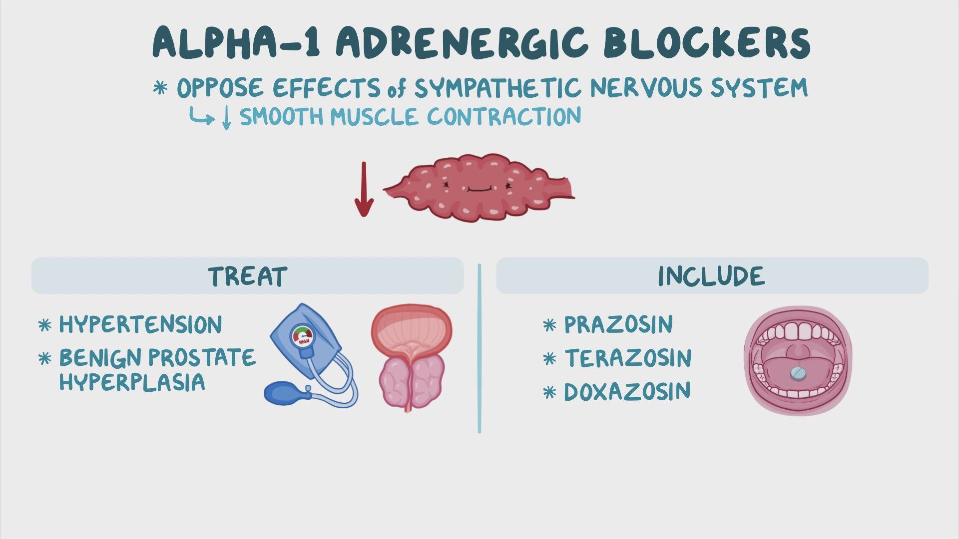 Video Alpha 1 Adrenergic Blockers Nursing Pharmacology Osmosis