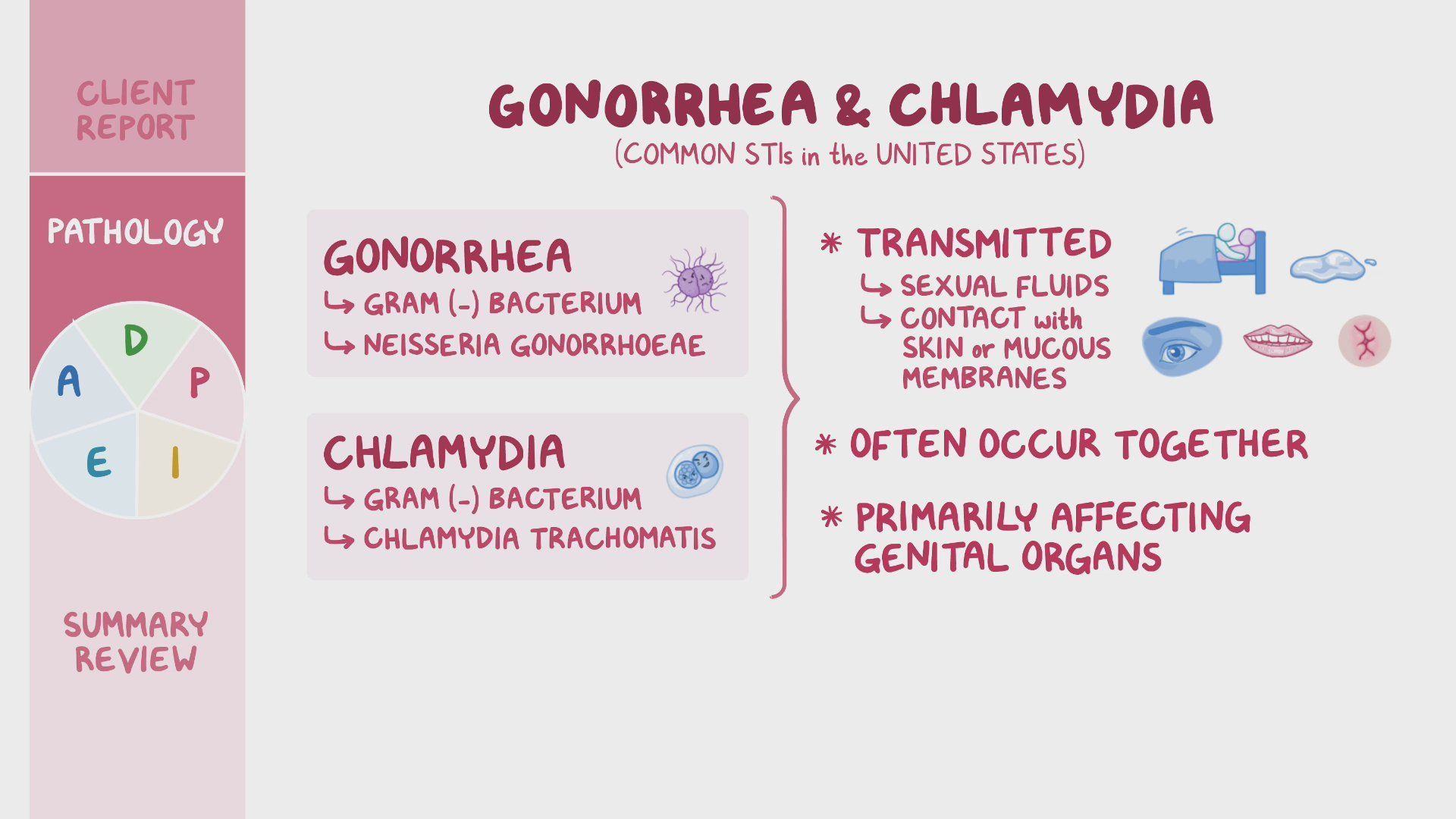 Video Gonorrhea And Chlamydia Nursing Process ADPIE 