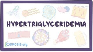 Video poster for Hypertriglyceridemia